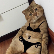 重生之我在APEX当盒子