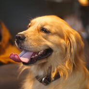 我和你奶冒冒汗