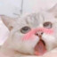 屁屁大魔王
