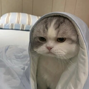 hey, wake up avatar