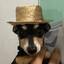 ZECA