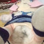 Fumo Rapist