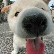 梦想早日成为肌佬！