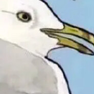玩家头像