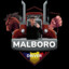 malboro12397