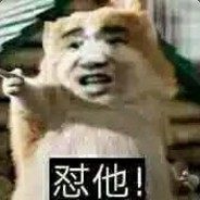绝活一保四
