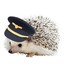 Cpt. C. Hedgehog