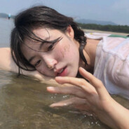 不吃香菜噜噜噜