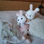 MR_RABBIT