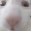 h0op