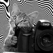 小袁起来达扑爬(｡･∀