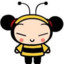 pucca