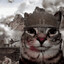 warcat