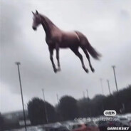 电脑玩家马飞飞、