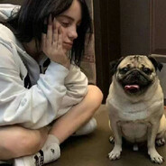 张雅的睡前故事书