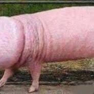 ε┤o↨Σ╥░▓