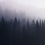 Tyloo - steam id 76561197960781957