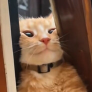 YAMADAAAAA