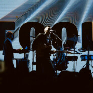 一只只会啵啵啵的鱼