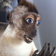LittleMonkey