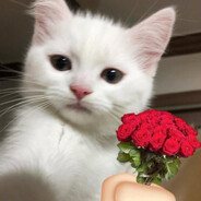 Avatar of What is love?