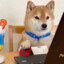 喜爱周日