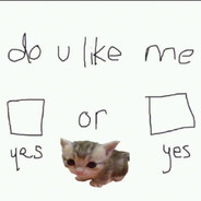 Sug Mi Alls