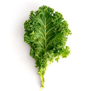 kale avatar