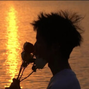 桀桀叫我加入万鸟计划