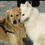 oi小鬼有点火热啊