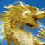 Gold[g]dragon