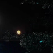 不要温顺的走进那个良夜