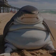 bird - steam id 76561198203672615