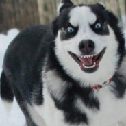 什么档次跟我一样游戏