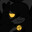 Midnight's Avatar