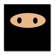 exNinja - steam id 76561197963230387
