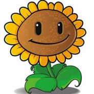 尼古拉斯-向日葵之神