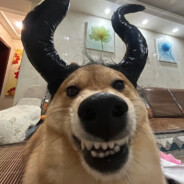 曾经沧海难为水