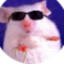 krys_a