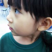 linkin529