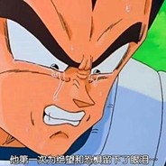 万年老二贝吉塔