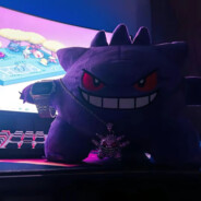 vi^vo
