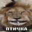 aишa13#ifuckallah