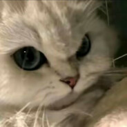 你说我都愿意听