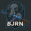 BjrN