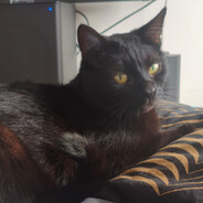 Lucky Kitler - steam id 76561197961013209
