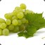 Kapitein Druif
