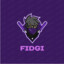 FIDGI