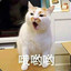 午睡