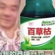 当S被小狗诈骗